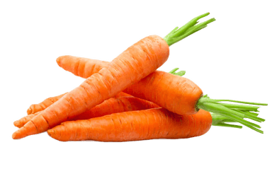 Carrot