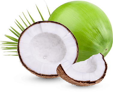 Tender Coconut