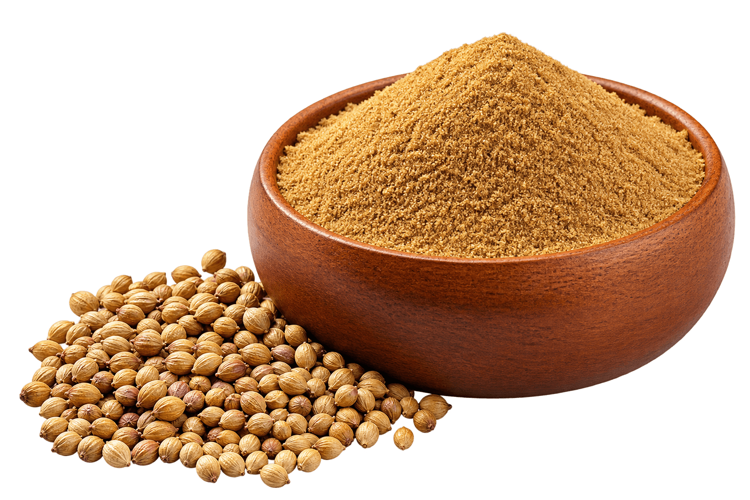 Coriander Powder