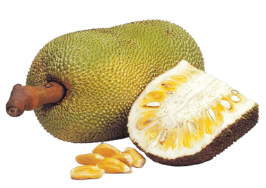 Jackfruit