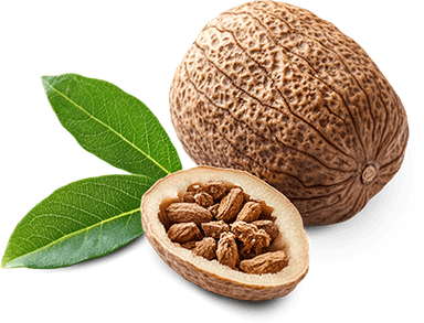 Nutmeg