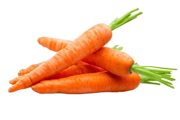 Carrot