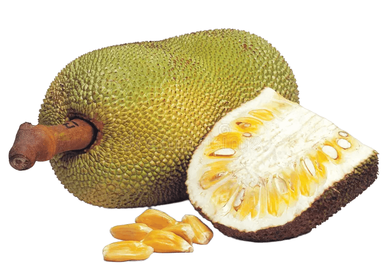 Jackfruit